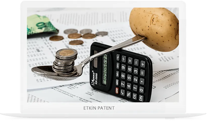 finansal davranışlara dair kombinasyon modeller-Kocaeli Patent